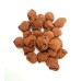 Coffee Cocoa Hazelnuts 100g